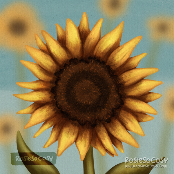 Illustration of a sunflower, with several blurry sunflowers in the background.